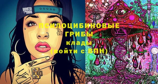 стафф Покачи