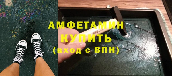 мдпв Бородино