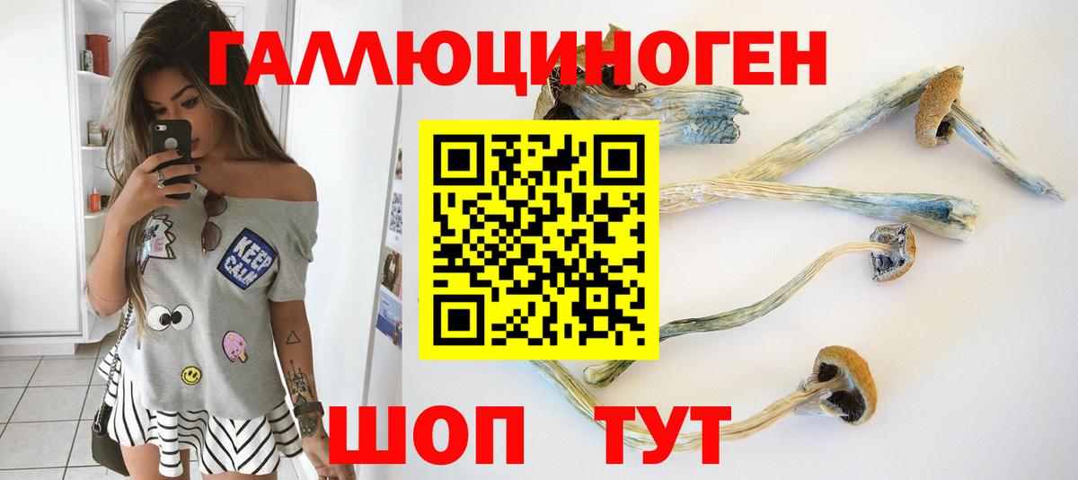 Псилоцибиновые грибы мицелий  наркошоп  Ртищево  Вход с VPN 