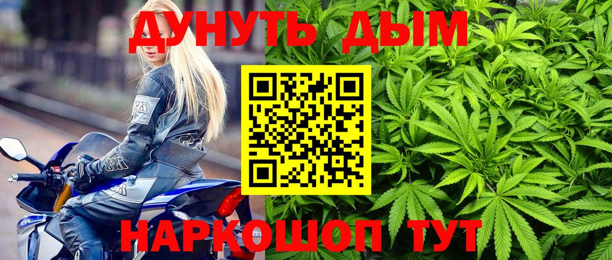 Каннабис план Ртищево
